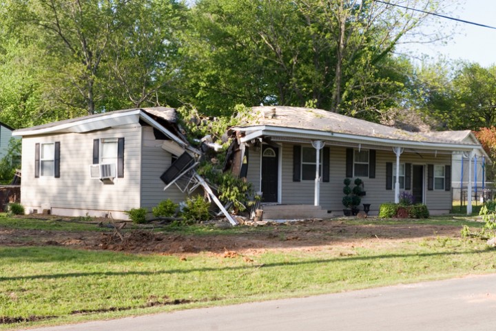 Fallen Tree Damage Restoration by MRS Restoration