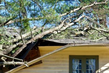 Old Fort, Tennessee Fallen Tree Damage Restoration by MRS Restoration